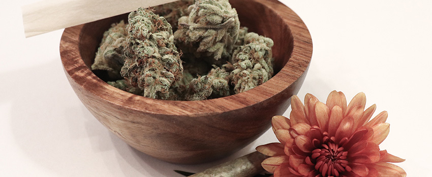 Marijuana buds in a wooden bowl. Marijuana cannabis marketing agency SEO company.