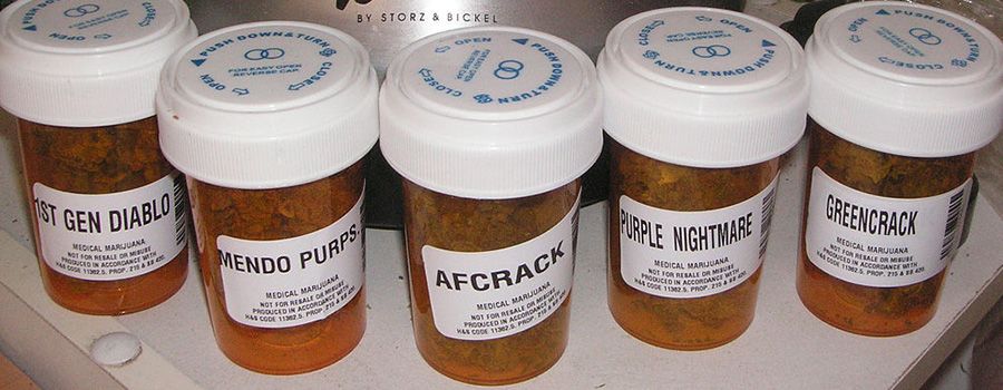 Prescription vials of medical marijuana. SEO for cannabis companies. SEO for dispensaries.