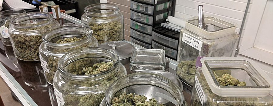 Cannabis buds in jars in a dispensary. Dispensary marketing plan. Social media marketing tips to promote your dispensary on Facebook. Dispensary marketing agency Cola Digital.