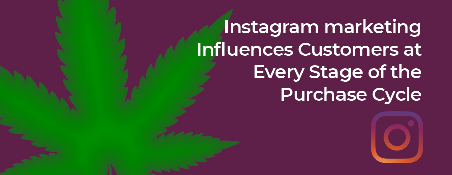 Social media marketing strategy and Instagram marketing tips for marijuana dispensaries and CBD companies. Dispensary marketing agency. 