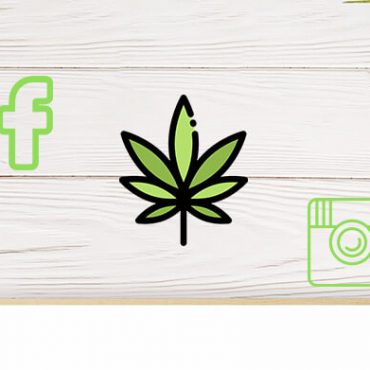 Cannabis social media management company Canada and USA. Cola Digital Cannabis Marketing and Dispensary SEO. ColaDigital.ca.