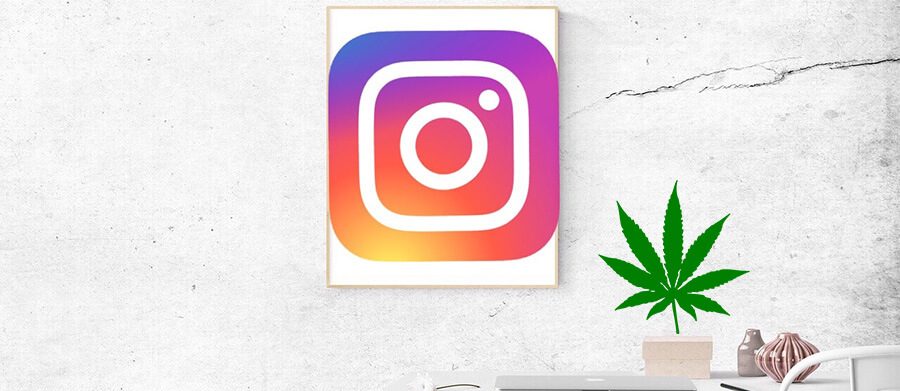 How to promote a dispensary on Instagram. Social media marketing tips for cannabis retail stores. Dispensary marketing plan.
