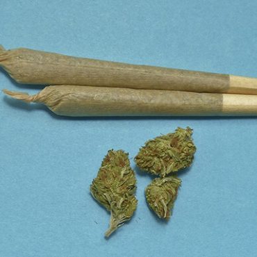 Two rolled joints and 3 small marijuana buds from a dispensary in Ontario. Retail dispensary regulations in Ontario. Regulations for cannabis stores.