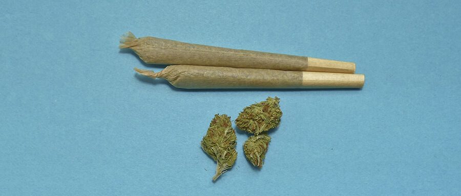 Two rolled joints and 3 small marijuana buds from a dispensary in Ontario. Retail dispensary regulations in Ontario. Regulations for cannabis stores.