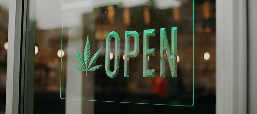 cannabis marijuana dispensary open. seo for dispensaries. digital marketing cannabis.