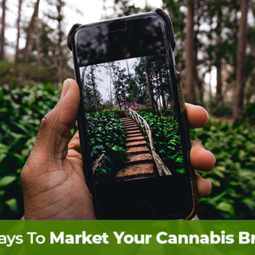 Hand holding a cell phone focused on a garden. Cannabis marketing tactics for retail stores and mail order marijuana dispensaries. Cannabis marketing agency.