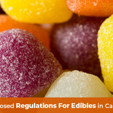 Cannabis gummy bears. Cannabis edibles. Proposed Regulations For Edibles in Canada. when are edibles legal in canada.