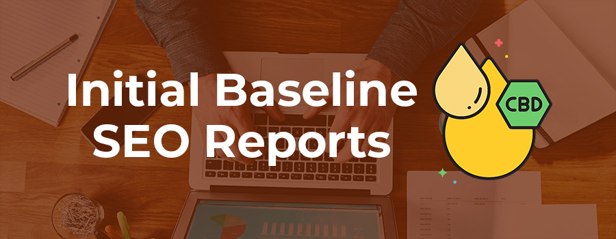 Initial baseline SEO and keyword rankings reports for case study on CBD and SEO.