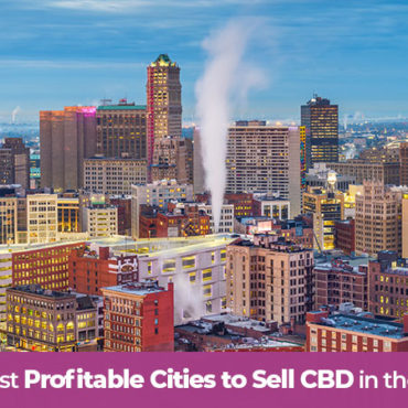 Photo of Detroit, MI. These are teh best cities to sell hemp cbd products in the united states of america. How and where to target hemp cbd marketing and advertising in the USA.