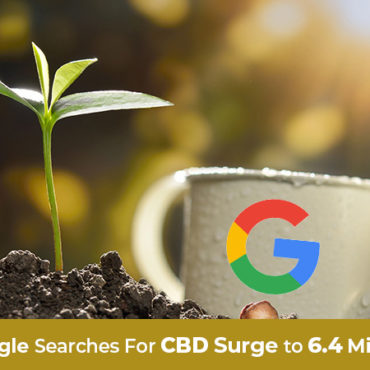 Plant growing with watering cup with google logo. CBD search engine marketing company.