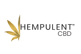 hempulent-final-cl-cbd website design development CBD seo