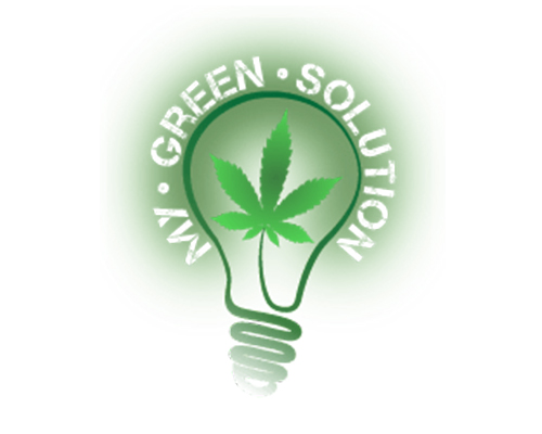 cannabis seo company marijuana SEO agency experts