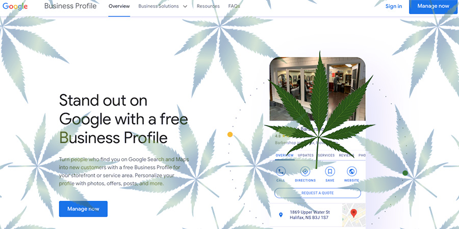 marketing for dispensaries with google my business page seo.