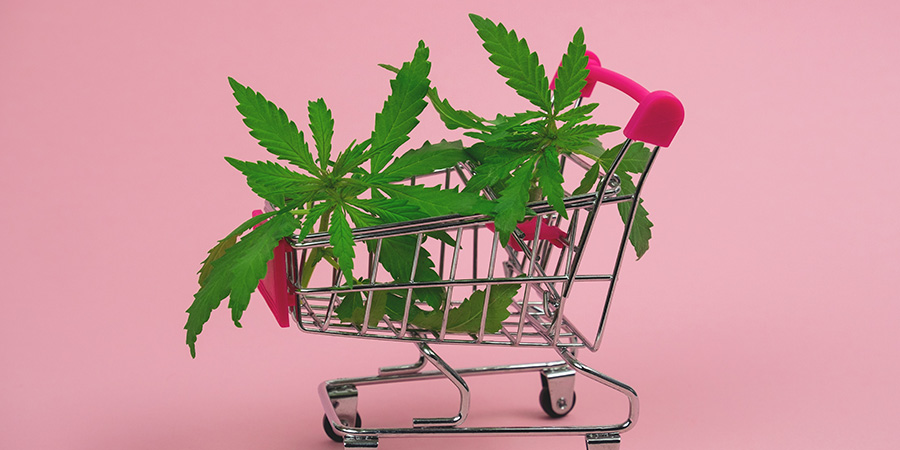 cannabis leaves in shopping cart. concept for local seo for a retail cannabis dispensary. cannabis marketing agency.