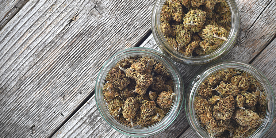 dry-and-trimmed-cannabis-buds-stored-in-a-glass-jar